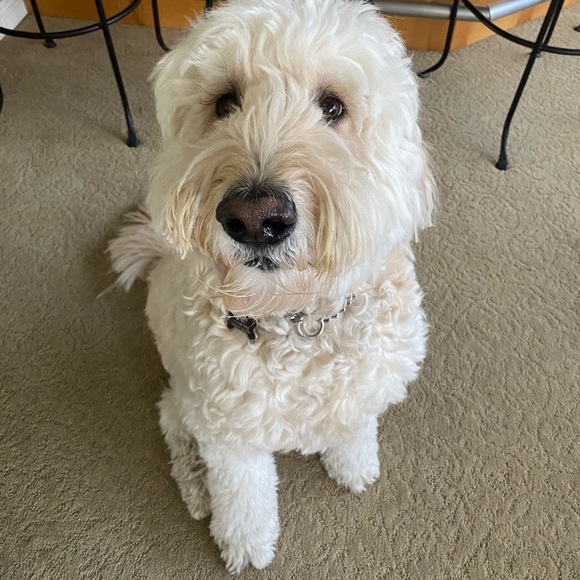 Meet the Posher Other - Meet your Posher, Sarah